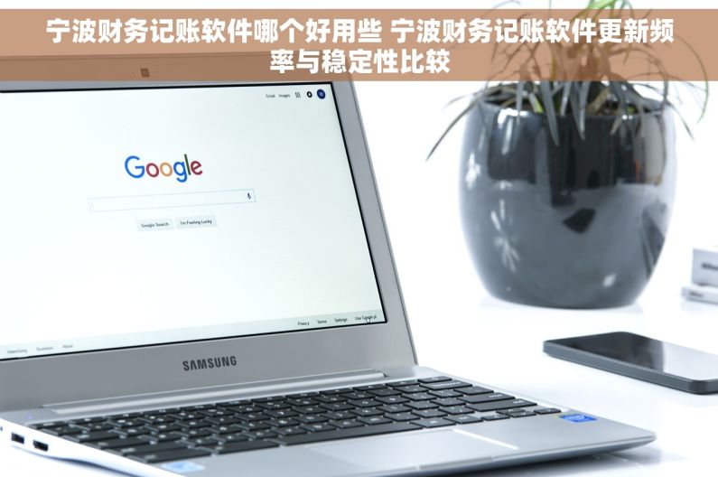 宁波财务记账软件哪个好用些 宁波财务记账软件更新频率与稳定性比较