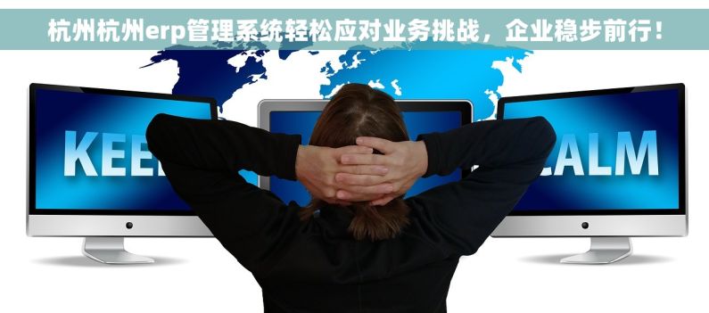 杭州杭州erp管理系统轻松应对业务挑战，企业稳步前行！