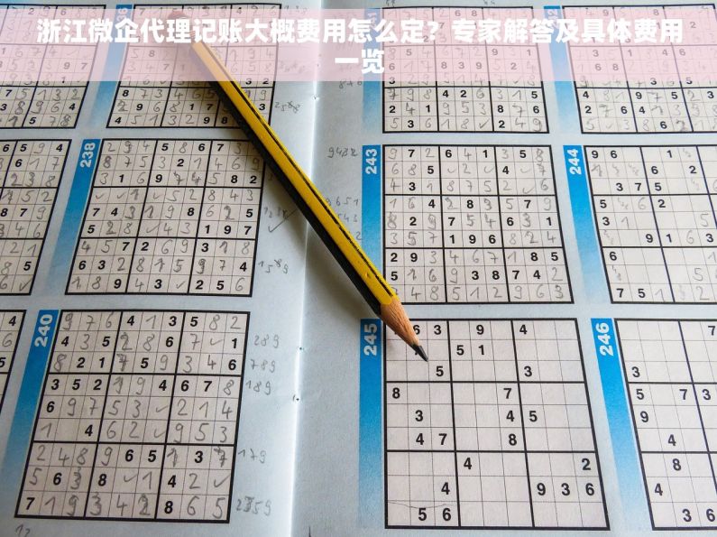 浙江微企代理记账大概费用怎么定？专家解答及具体费用一览