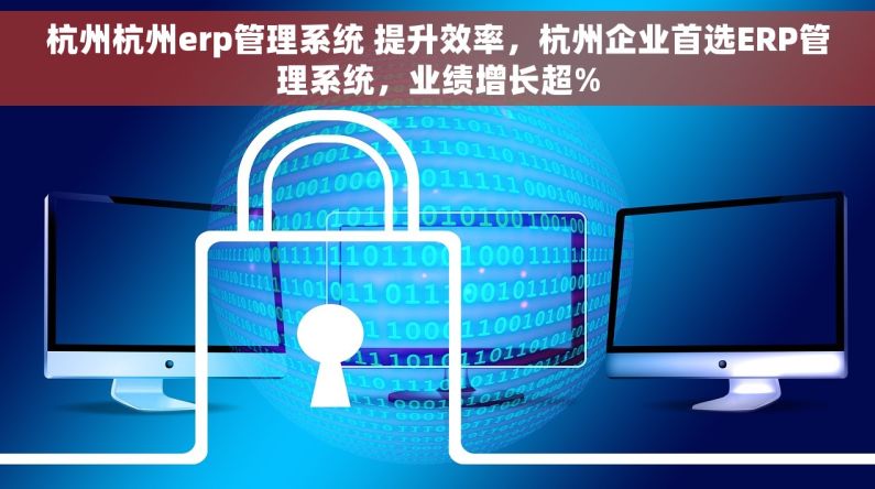杭州杭州erp管理系统 提升效率，杭州企业首选ERP管理系统，业绩增长超%