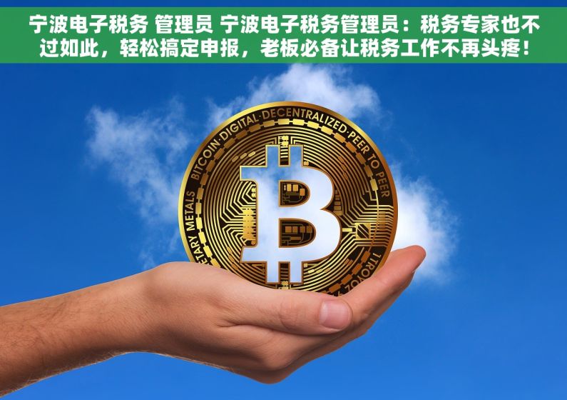 宁波电子税务 管理员 宁波电子税务管理员：税务专家也不过如此，轻松搞定申报，老板必备让税务工作不再头疼！