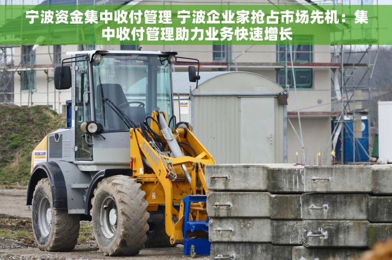 宁波资金集中收付管理 宁波企业家抢占市场先机：集中收付管理助力业务快速增长