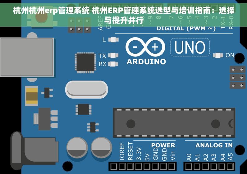杭州杭州erp管理系统 杭州ERP管理系统选型与培训指南：选择与提升并行