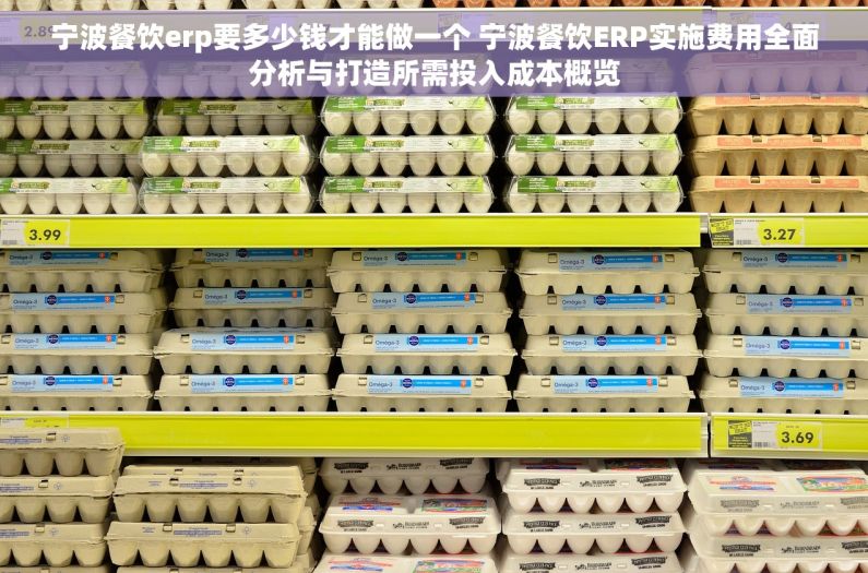 宁波餐饮erp要多少钱才能做一个 宁波餐饮ERP实施费用全面分析与打造所需投入成本概览