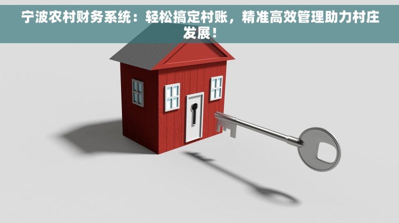 宁波农村财务系统：轻松搞定村账，精准高效管理助力村庄发展！