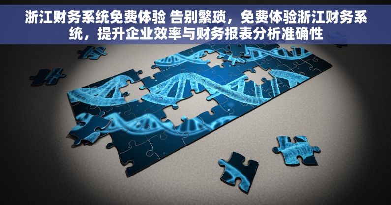 浙江财务系统免费体验 告别繁琐，免费体验浙江财务系统，提升企业效率与财务报表分析准确性