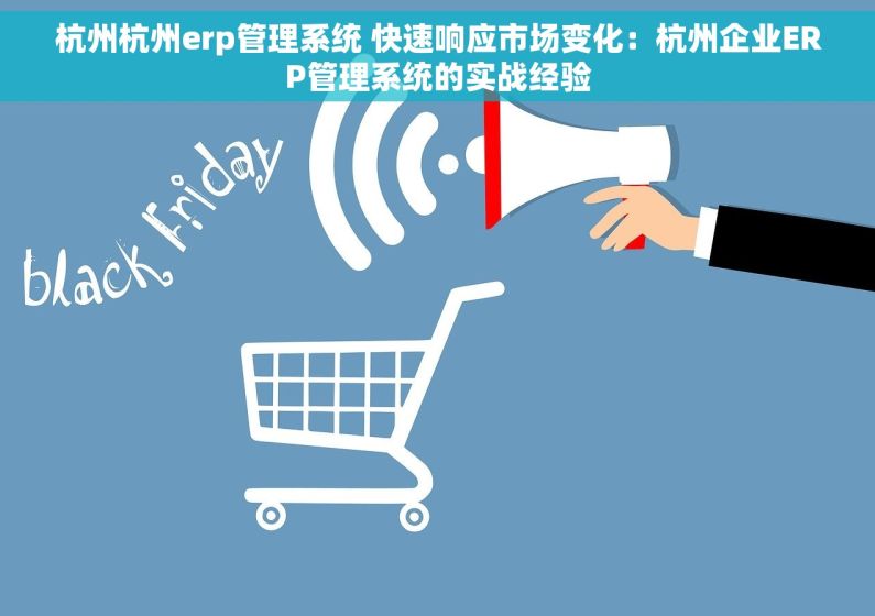 杭州杭州erp管理系统 快速响应市场变化：杭州企业ERP管理系统的实战经验