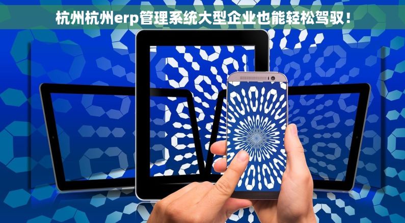 杭州杭州erp管理系统大型企业也能轻松驾驭！