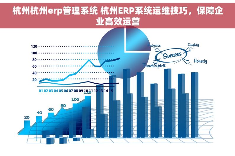杭州杭州erp管理系统 杭州ERP系统运维技巧，保障企业高效运营