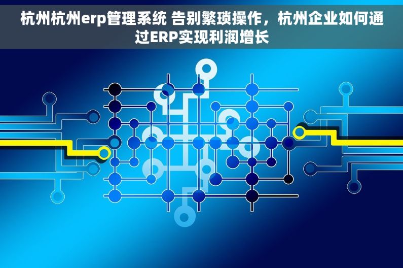 杭州杭州erp管理系统 告别繁琐操作，杭州企业如何通过ERP实现利润增长