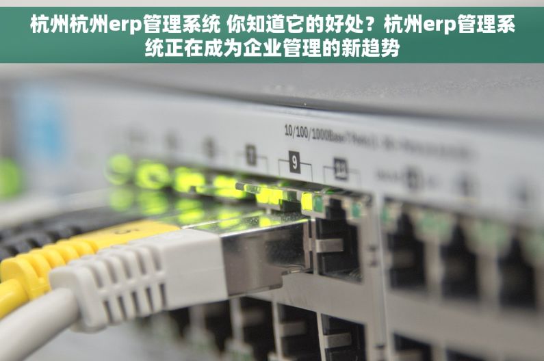 杭州杭州erp管理系统 你知道它的好处？杭州erp管理系统正在成为企业管理的新趋势