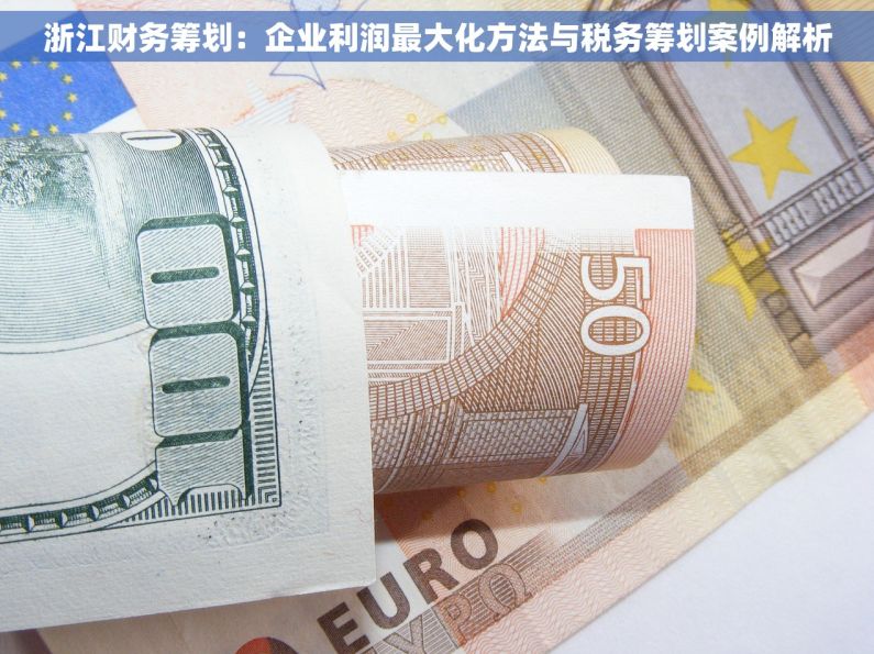 浙江财务筹划：企业利润最大化方法与税务筹划案例解析