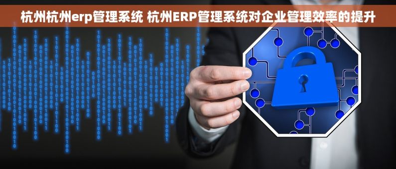 杭州杭州erp管理系统 杭州ERP管理系统对企业管理效率的提升