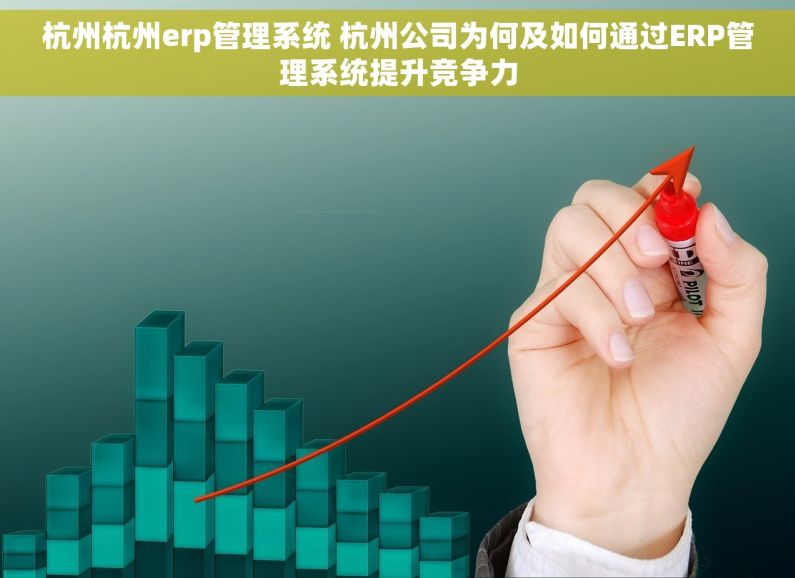 杭州杭州erp管理系统 杭州公司为何及如何通过ERP管理系统提升竞争力