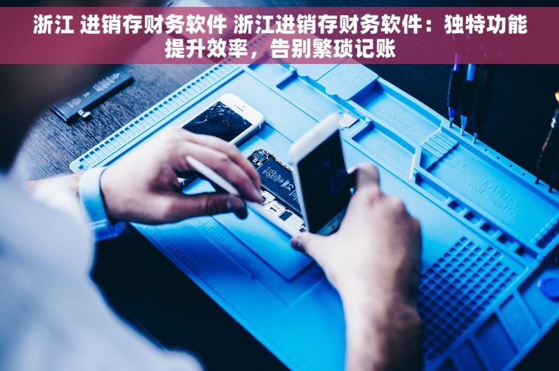 浙江 进销存财务软件 浙江进销存财务软件：独特功能提升效率，告别繁琐记账