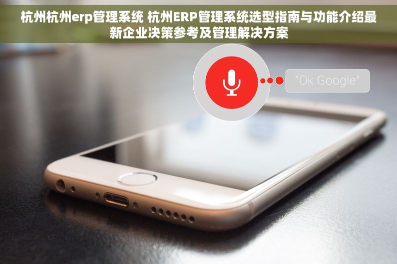 杭州杭州erp管理系统 杭州ERP管理系统选型指南与功能介绍最新企业决策参考及管理解决方案