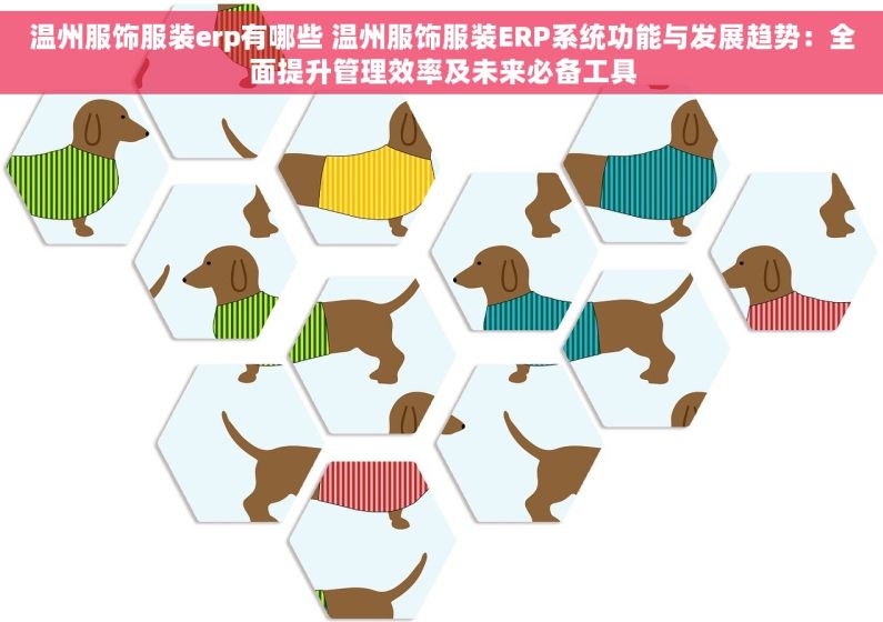 温州服饰服装erp有哪些 温州服饰服装ERP系统功能与发展趋势：全面提升管理效率及未来必备工具