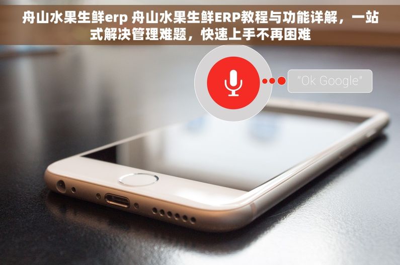 舟山水果生鲜erp 舟山水果生鲜ERP教程与功能详解，一站式解决管理难题，快速上手不再困难