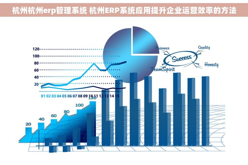 杭州杭州erp管理系统 杭州ERP系统应用提升企业运营效率的方法