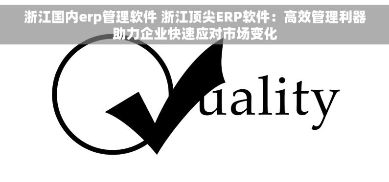 浙江国内erp管理软件 浙江顶尖ERP软件：高效管理利器助力企业快速应对市场变化
