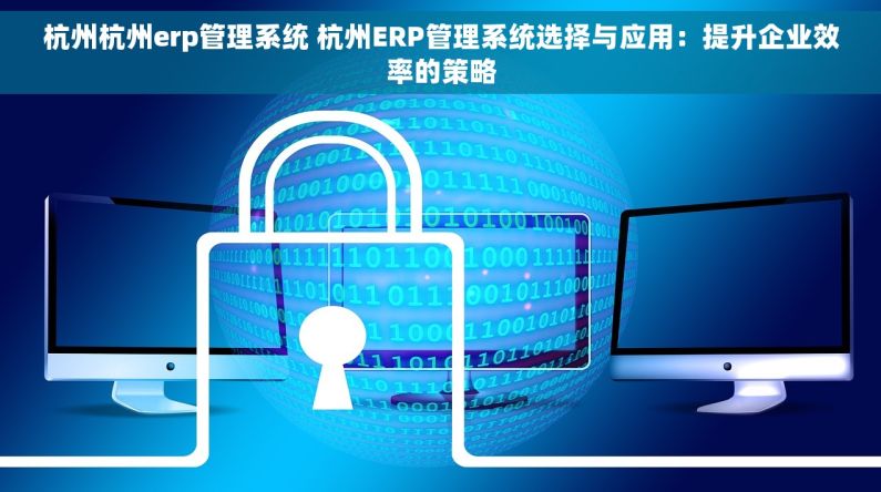 杭州杭州erp管理系统 杭州ERP管理系统选择与应用：提升企业效率的策略