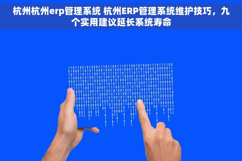 杭州杭州erp管理系统 杭州ERP管理系统维护技巧，九个实用建议延长系统寿命