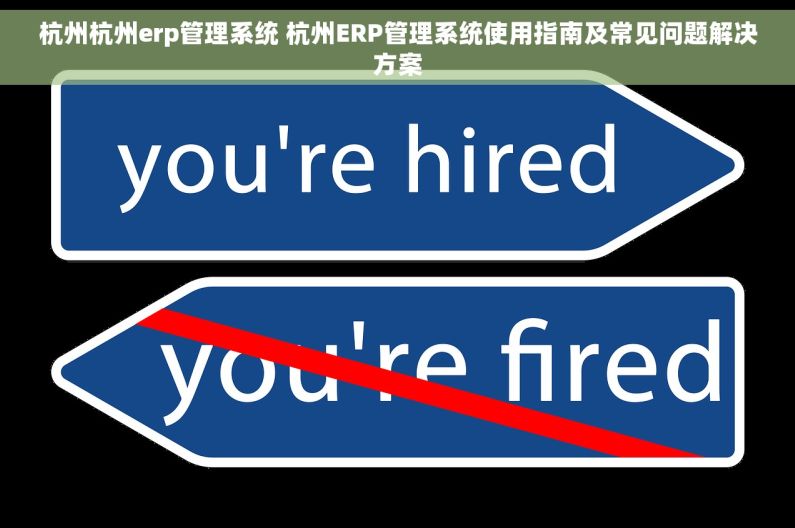 杭州杭州erp管理系统 杭州ERP管理系统使用指南及常见问题解决方案