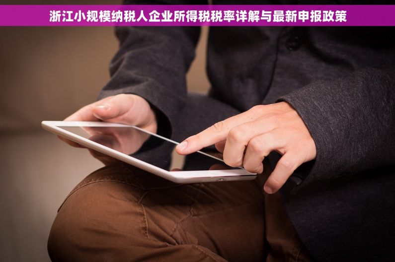 浙江小规模纳税人企业所得税税率详解与最新申报政策