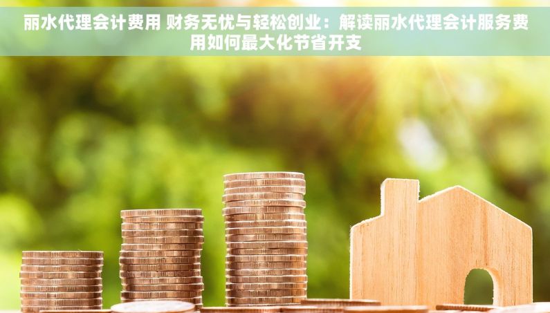 丽水代理会计费用 财务无忧与轻松创业：解读丽水代理会计服务费用如何最大化节省开支