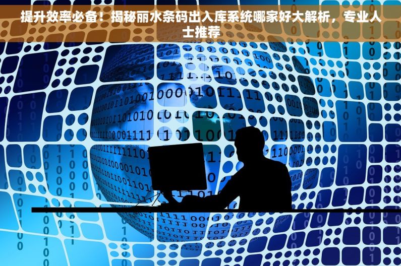 提升效率必备！揭秘丽水条码出入库系统哪家好大解析，专业人士推荐