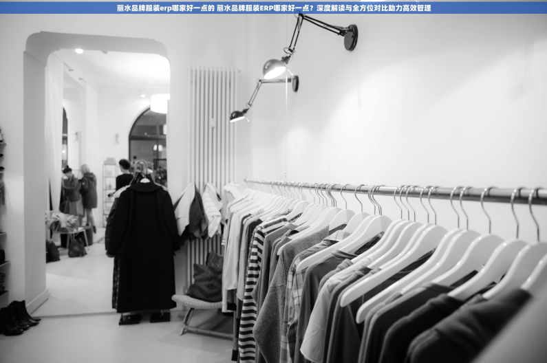 丽水品牌服装erp哪家好一点的 丽水品牌服装ERP哪家好一点？深度解读与全方位对比助力高效管理