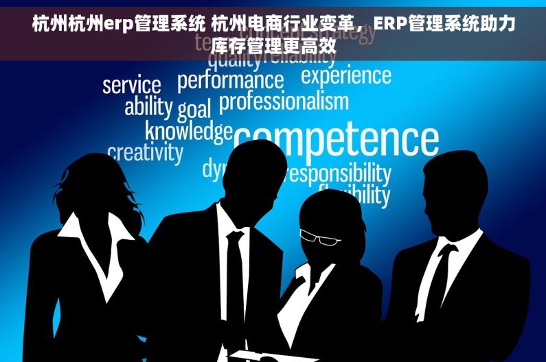 杭州杭州erp管理系统 杭州电商行业变革，ERP管理系统助力库存管理更高效