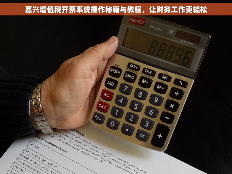 嘉兴增值税开票系统操作秘籍与教程，让财务工作更轻松