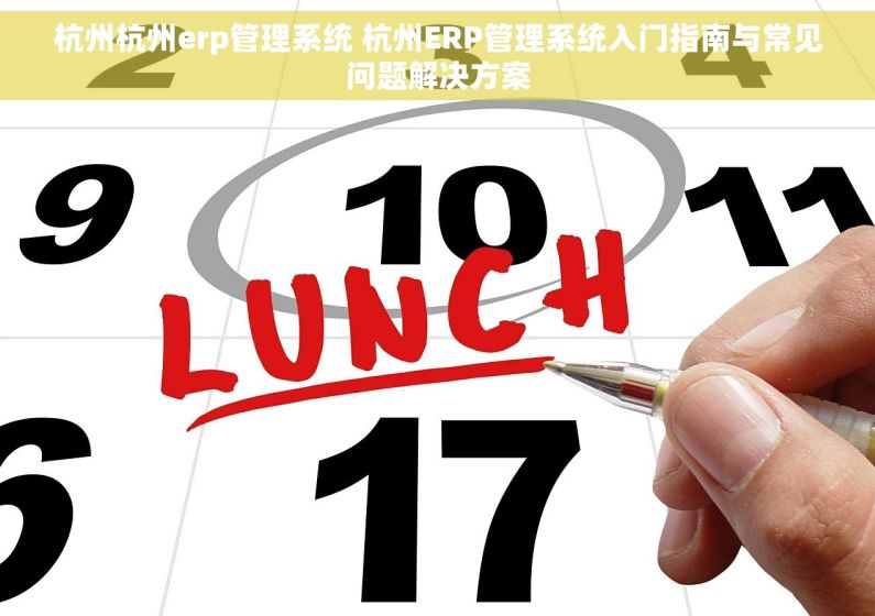 杭州杭州erp管理系统 杭州ERP管理系统入门指南与常见问题解决方案