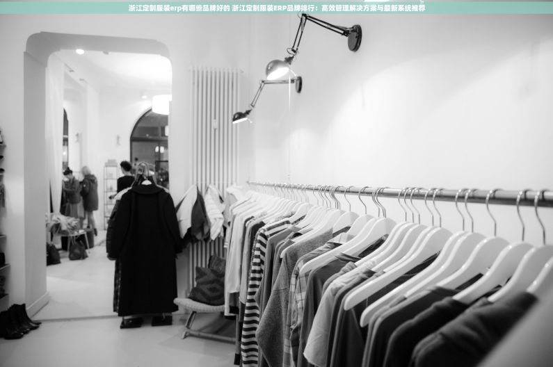 浙江定制服装erp有哪些品牌好的 浙江定制服装ERP品牌排行：高效管理解决方案与最新系统推荐
