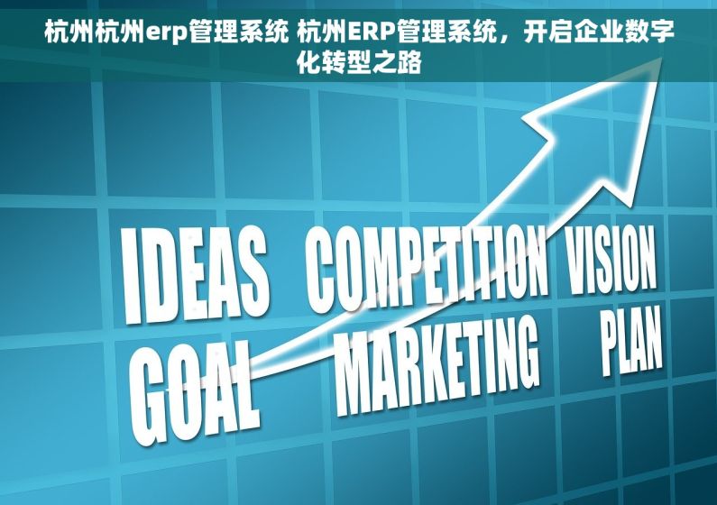 杭州杭州erp管理系统 杭州ERP管理系统，开启企业数字化转型之路
