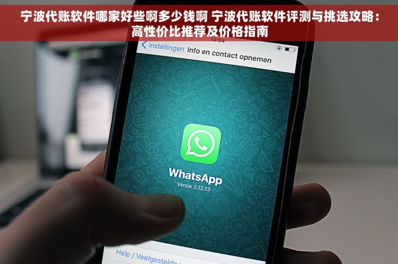 宁波代账软件哪家好些啊多少钱啊 宁波代账软件评测与挑选攻略：高性价比推荐及价格指南