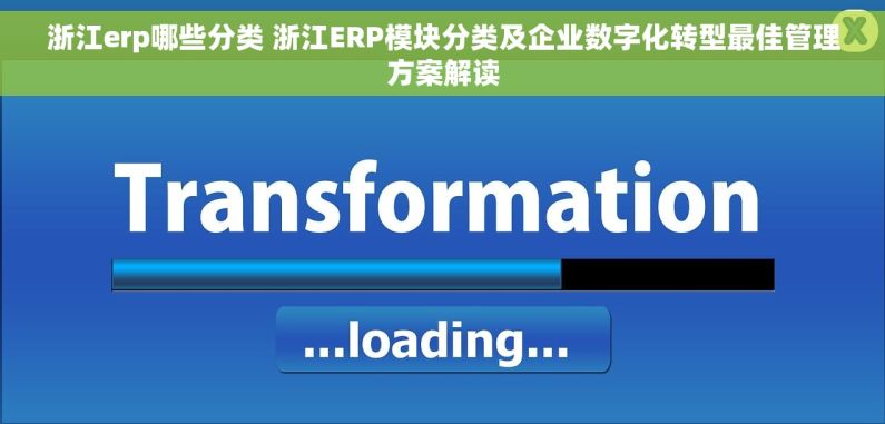 浙江erp哪些分类 浙江ERP模块分类及企业数字化转型最佳管理方案解读