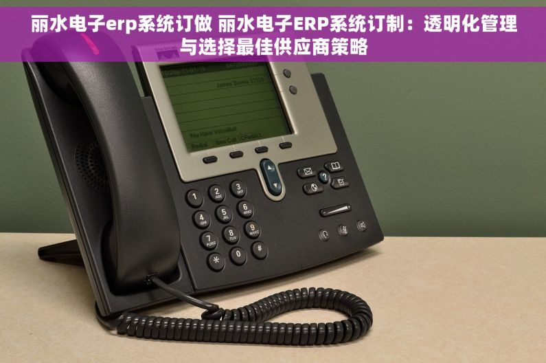 丽水电子erp系统订做 丽水电子ERP系统订制：透明化管理与选择最佳供应商策略