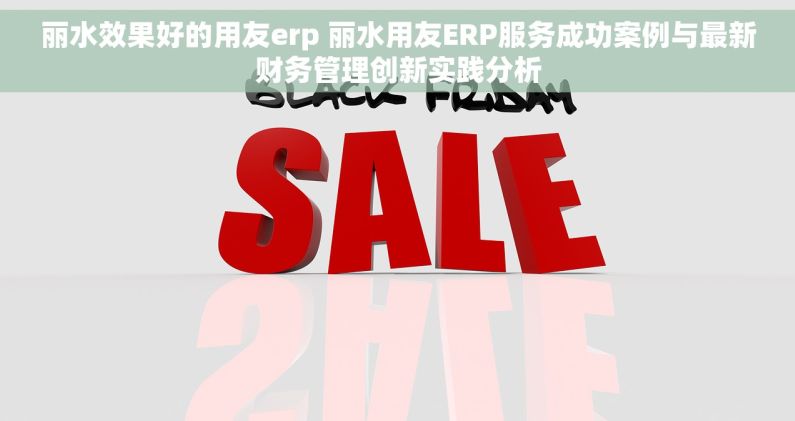 丽水效果好的用友erp 丽水用友ERP服务成功案例与最新财务管理创新实践分析