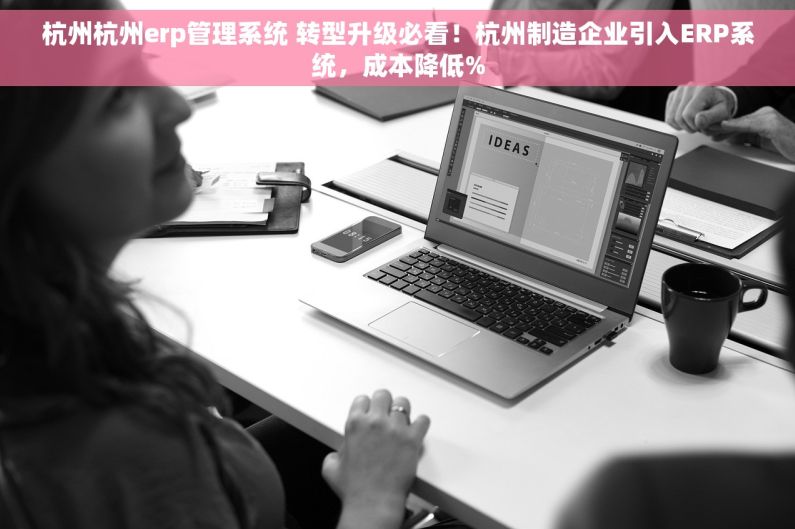杭州杭州erp管理系统 转型升级必看！杭州制造企业引入ERP系统，成本降低%