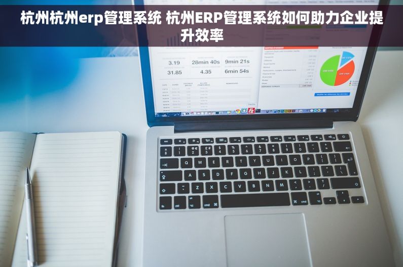杭州杭州erp管理系统 杭州ERP管理系统如何助力企业提升效率