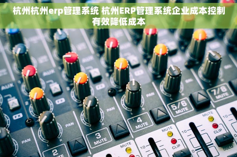 杭州杭州erp管理系统 杭州ERP管理系统企业成本控制有效降低成本