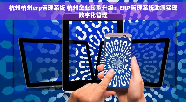 杭州杭州erp管理系统 杭州企业转型升级：ERP管理系统助您实现数字化管理
