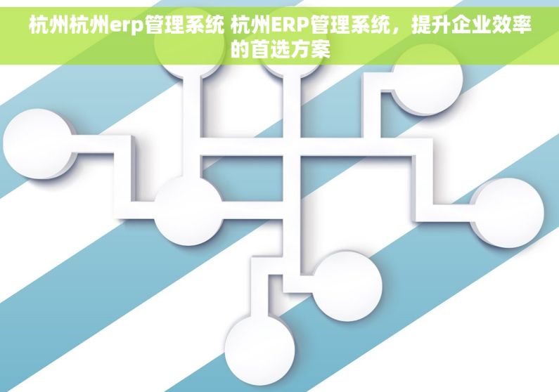 杭州杭州erp管理系统 杭州ERP管理系统，提升企业效率的首选方案