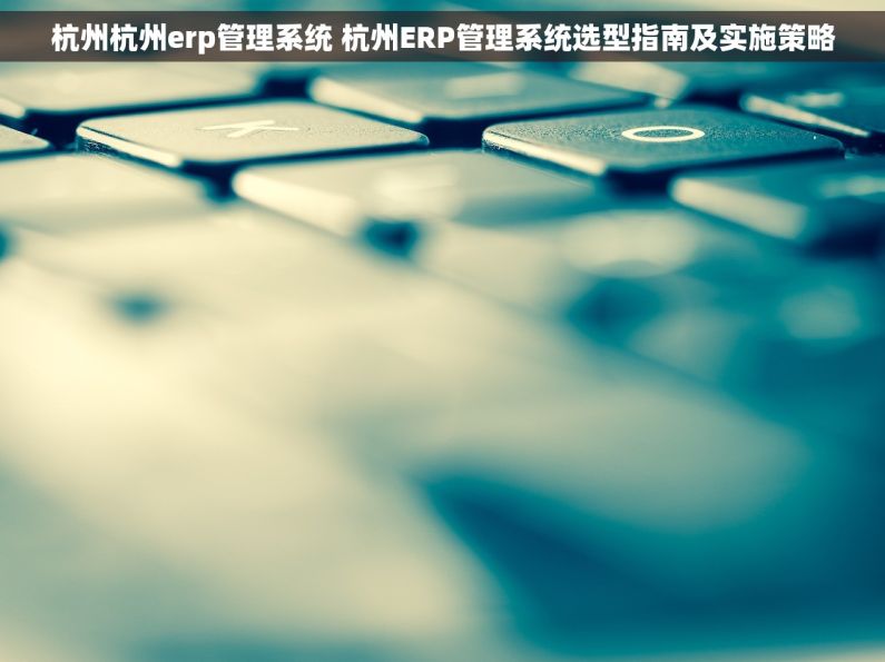 杭州杭州erp管理系统 杭州ERP管理系统选型指南及实施策略