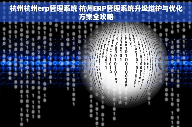 杭州杭州erp管理系统 杭州ERP管理系统升级维护与优化方案全攻略
