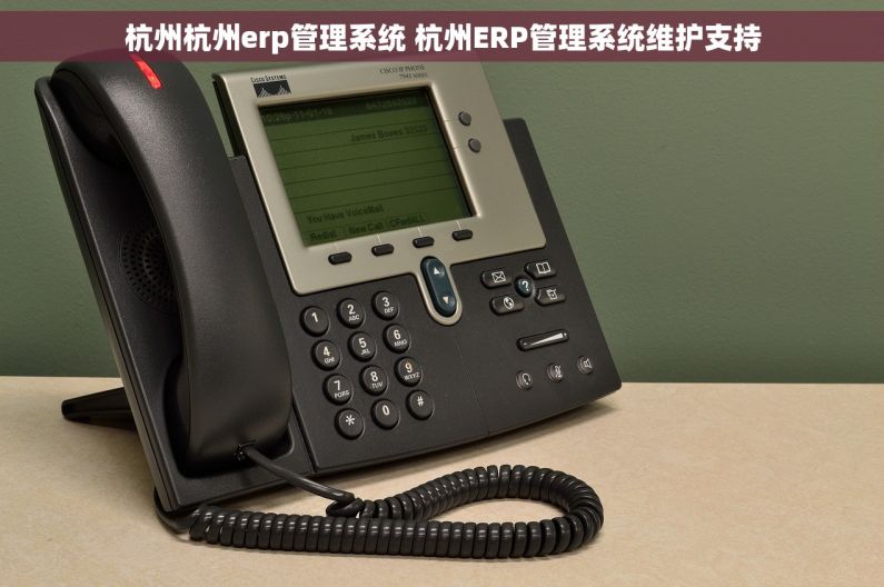 杭州杭州erp管理系统 杭州ERP管理系统维护支持