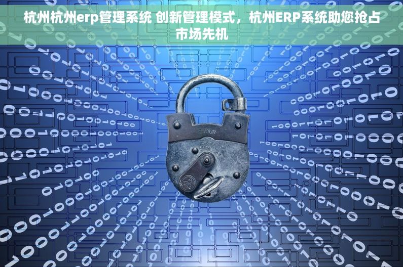 杭州杭州erp管理系统 创新管理模式，杭州ERP系统助您抢占市场先机