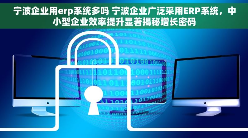 宁波企业用erp系统多吗 宁波企业广泛采用ERP系统，中小型企业效率提升显著揭秘增长密码